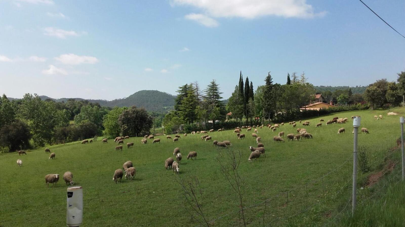 Séjour à la campagne Casa Climent *